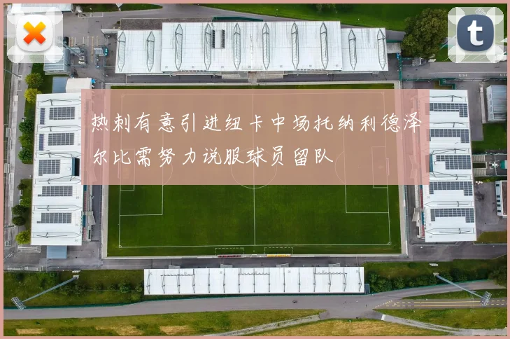 热刺有意引进纽卡中场托纳利德泽尔比需努力说服球员留队