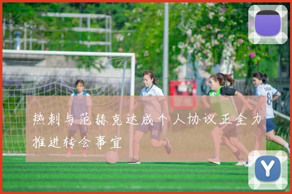 热刺与范赫克达成个人协议正全力推进转会事宜